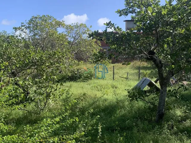 Imagem: Terreno Cercado Próximo Ao Parque Estadual