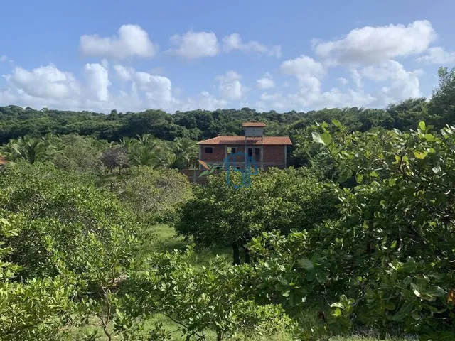 Imagem 10: Terreno Cercado Próximo Ao Parque Estadual - Pipa