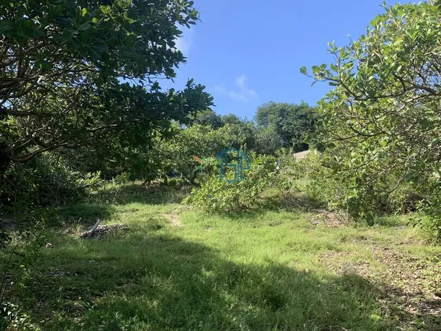 Imagem 7: Terreno Cercado Próximo Ao Parque Estadual - Pipa