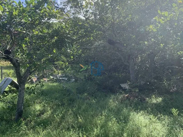 Imagem 2: Terreno Cercado Próximo Ao Parque Estadual - Pipa