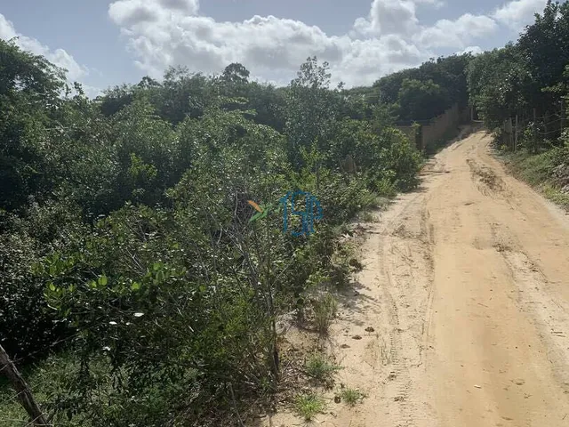Imagem 5: Terreno Cercado Próximo Ao Parque Estadual - Pipa