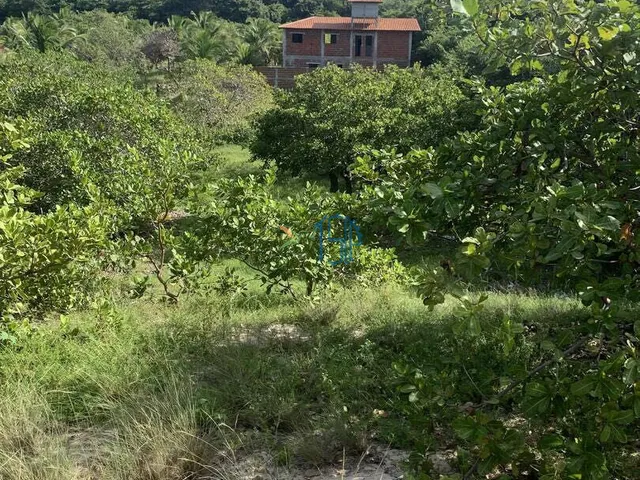 Imagem 3: Terreno Cercado Próximo Ao Parque Estadual - Pipa