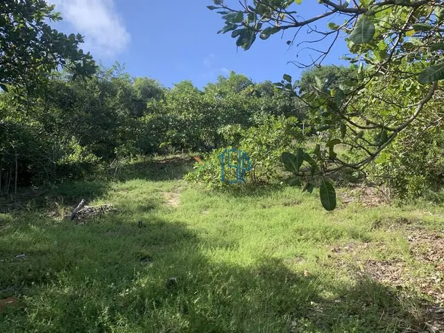 Imagem 8: Terreno Cercado Próximo Ao Parque Estadual - Pipa