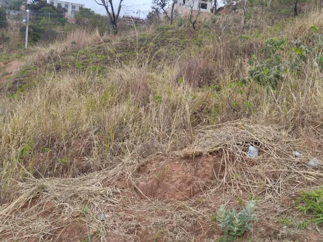 Imagem 3: Lotes no São Damião em Vespasiano