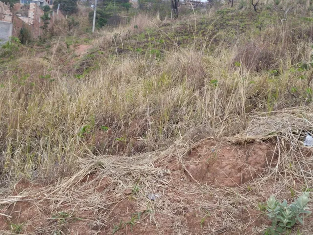 Imagem 2: Lotes no São Damião em Vespasiano