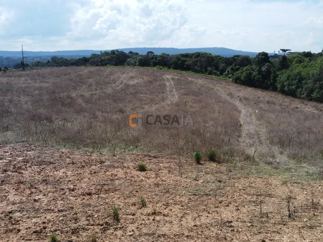 Imagem 16: Chacara Rural em Campo Largo - Pr, Rodeio Santo Antonio