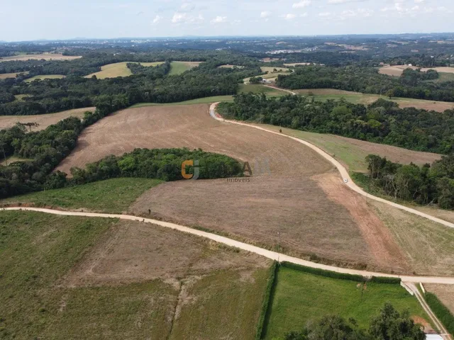 Imagem 8: Terreno Rural em Campo Largo - Pr, Rodeio Santo Antônio