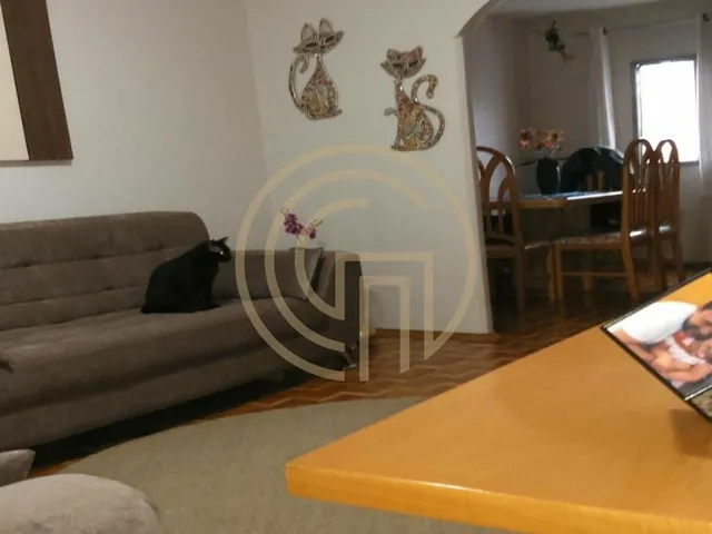 Imagem 4: Apartamento À Venda no Bairro Parque das Árvores em São Paulo/Sp
