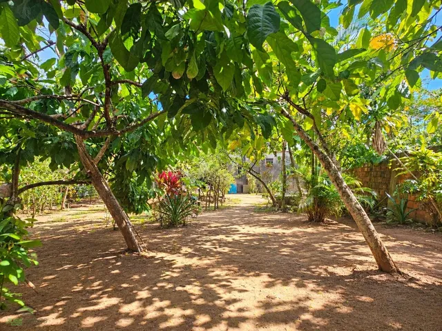 Imagem 13: 2 Casas À Venda no Novo Horizonte no Mesmo Terreno