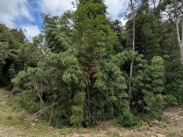 Imagem 3: Chácara À Venda com 3315M² por R$ 130.000,00 no Bairro Roça Nova - Piraquara / Pr