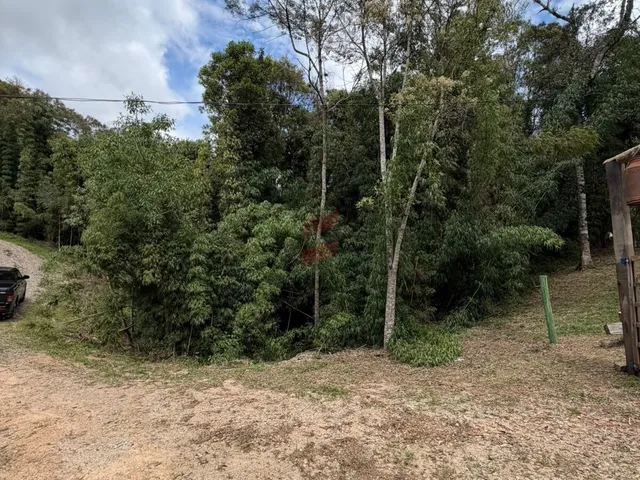 Imagem 4: Chácara À Venda com 3315M² por R$ 130.000,00 no Bairro Roça Nova - Piraquara / Pr