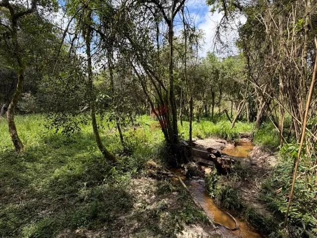 Imagem 7: Chácara À Venda com 3315M² por R$ 130.000,00 no Bairro Roça Nova - Piraquara / Pr