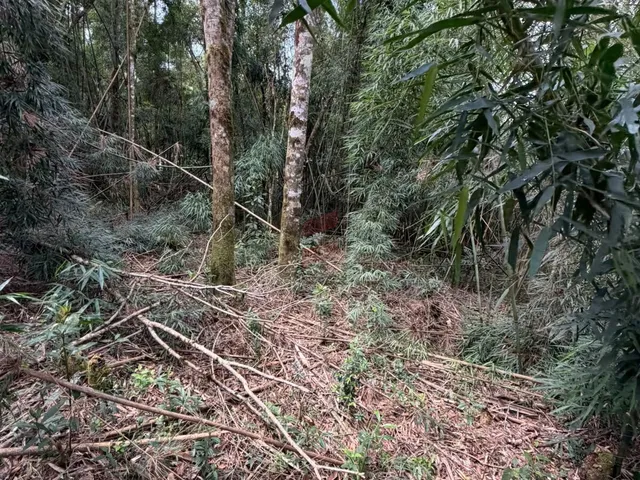 Imagem 9: Chácara À Venda com 3315M² por R$ 130.000,00 no Bairro Roça Nova - Piraquara / Pr