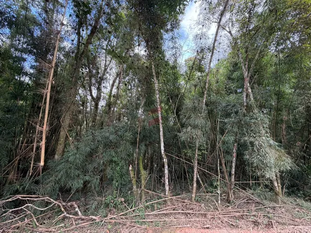 Imagem 12: Chácara À Venda com 3315M² por R$ 130.000,00 no Bairro Roça Nova - Piraquara / Pr
