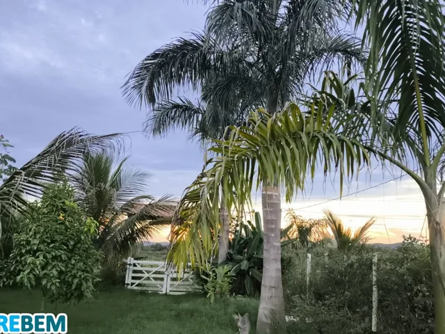 Imagem 4: Chácara À Venda - Condomínio Lagoa da Garça