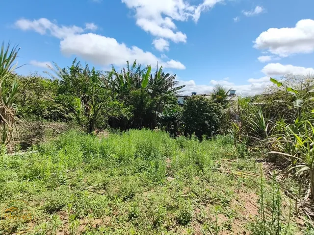 Imagem 16: Vendo Casa no Bairro Avelar em Paty do Alferes - Rj