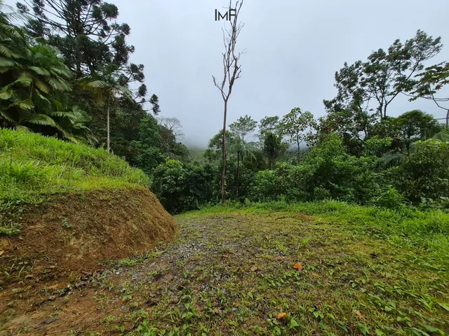 Imagem 11: Terreno para Sitio em Pomerode-Sc