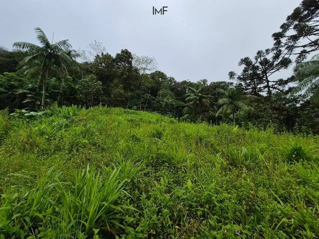 Imagem 5: Terreno para Sitio em Pomerode-Sc