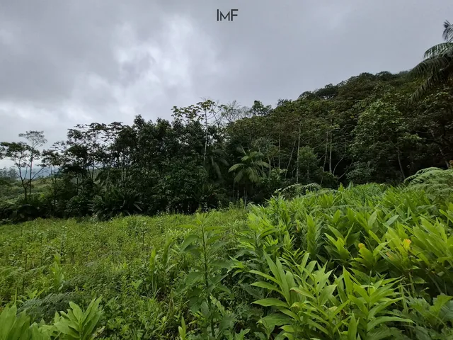 Imagem 7: Terreno para Sitio em Pomerode-Sc