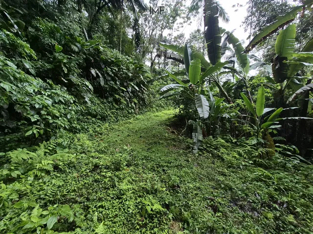 Imagem 12: Terreno para Sitio em Pomerode-Sc