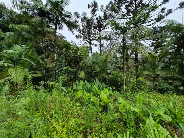 Imagem 6: Terreno para Sitio em Pomerode-Sc