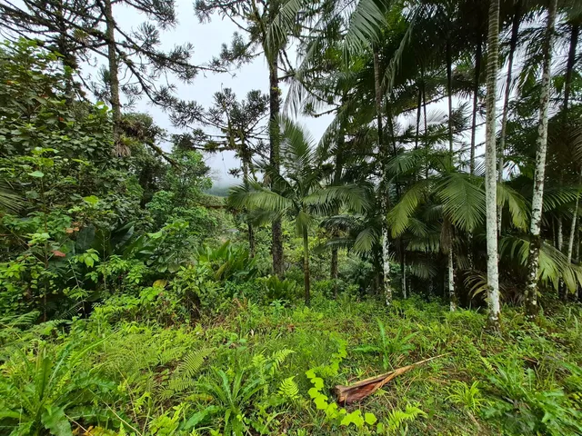 Imagem 3: Terreno para Sitio em Pomerode-Sc