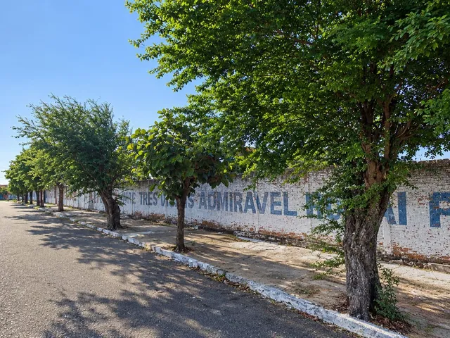 Imagem 3: Te2437) Terreno Localizado no Bairro Campos Medindo 1.010M²