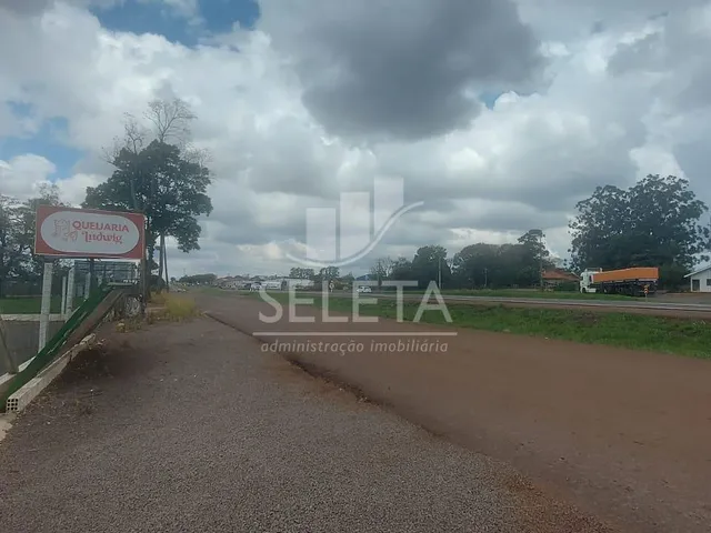 Imagem 4: Área Rural Plana de 34.000 M² À Venda em Sede Alvorada Entre Cascavel e Toledo