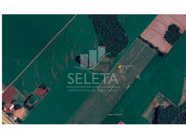 Imagem 2: Área Rural Plana de 34.000 M² À Venda em Sede Alvorada Entre Cascavel e Toledo
