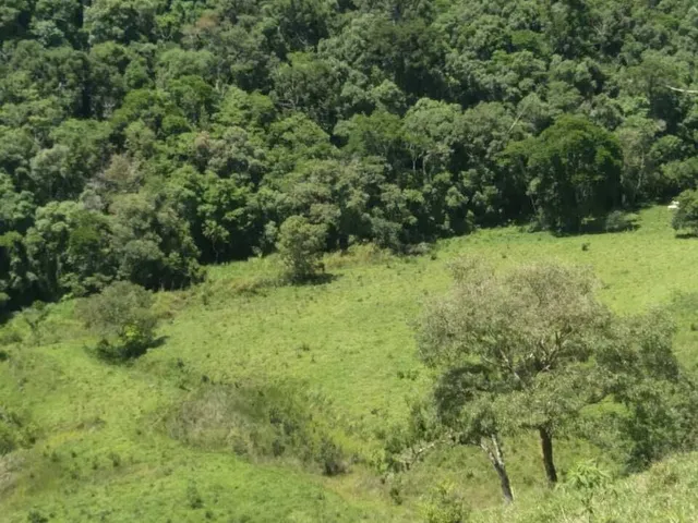 Imagem 3: Sítio À Venda no Bairro Santana de Caldas - Caldas/Mg