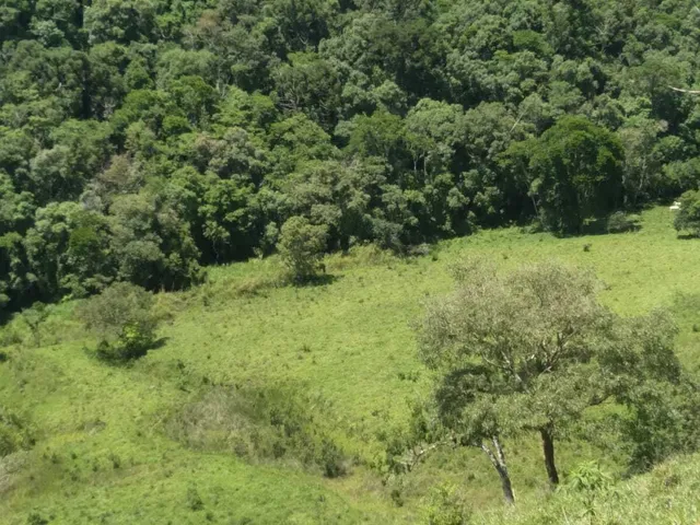 Imagem 6: Sítio À Venda no Bairro Santana de Caldas - Caldas/Mg