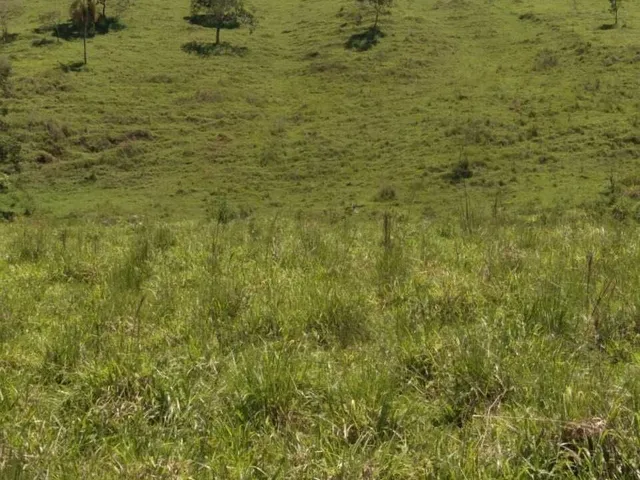 Imagem 14: Sítio À Venda no Bairro Santana de Caldas - Caldas/Mg