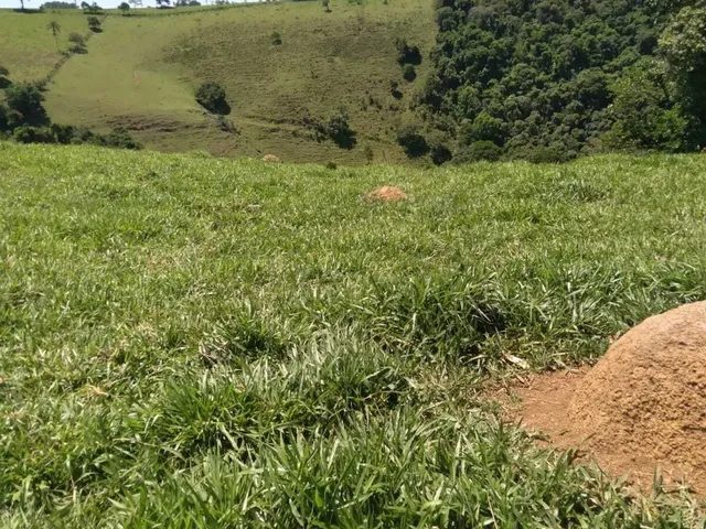 Imagem 2: Sítio À Venda no Bairro Santana de Caldas - Caldas/Mg