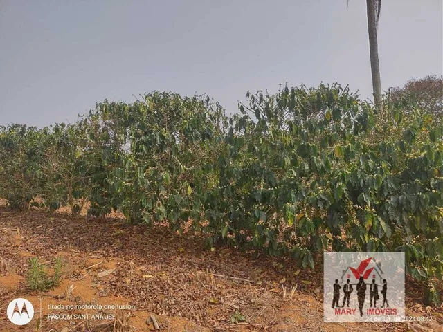 Imagem 15: Sítio À Venda no Bairro Santana de Caldas - Caldas/Mg