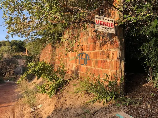 Imagem: Área Murada em Meio À Mata de Pipa - Escritura