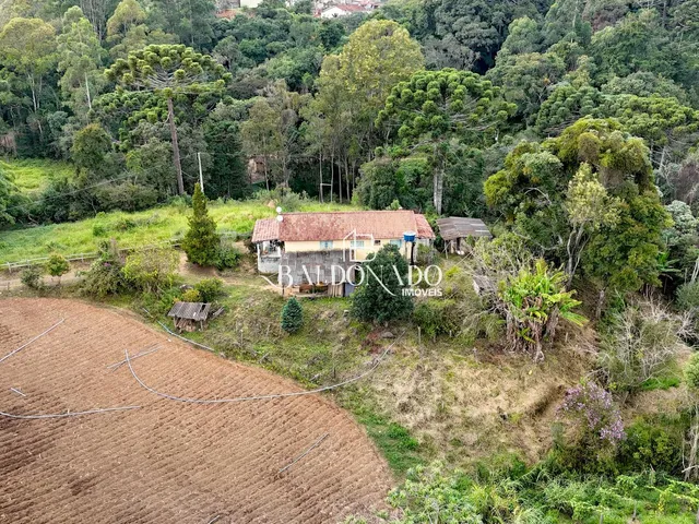 Imagem 3: Sitio a Venda em Toledo Mg 5000 Mil Metros Nascente Riacho
