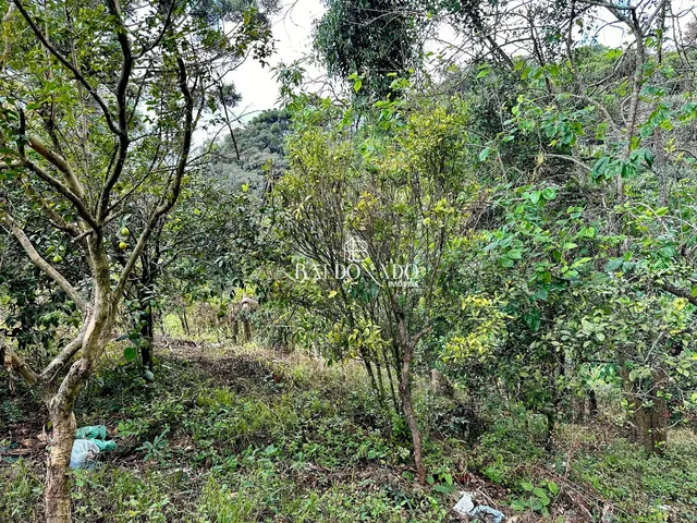 Imagem 6: Sitio a Venda em Toledo Mg 5000 Mil Metros Nascente Riacho