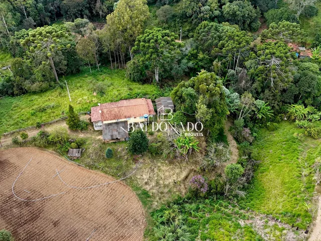 Imagem 2: Sitio a Venda em Toledo Mg 5000 Mil Metros Nascente Riacho