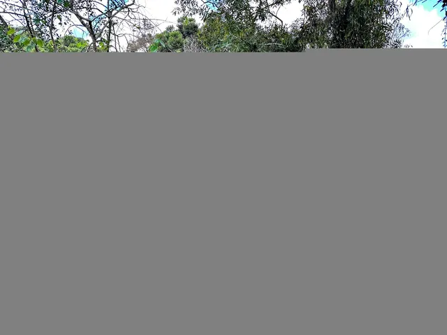 Imagem 7: Sitio a Venda em Toledo Mg 5000 Mil Metros Nascente Riacho