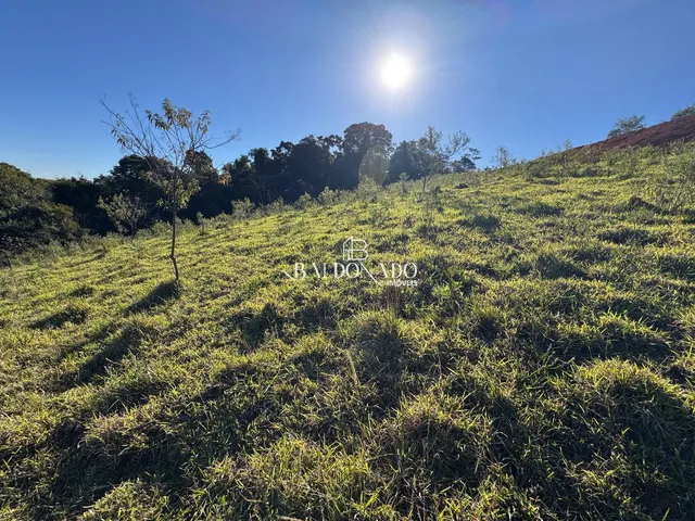 Imagem 2: Terreno Rural a Venda em Toledo Mg 13600 Metros com Nascente Vista
