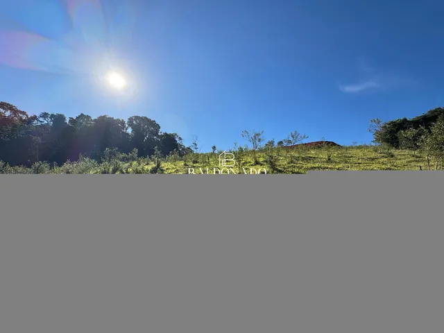 Imagem 13: Terreno Rural a Venda em Toledo Mg 13600 Metros com Nascente Vista