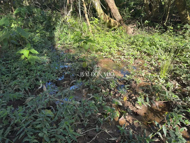 Imagem 16: Terreno Rural a Venda em Toledo Mg 13600 Metros com Nascente Vista
