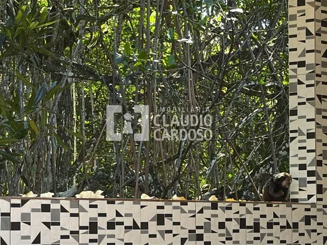Imagem 5: Casa À Venda na Paradisíaca Praia de Mamoã - Ilhéus/Ba