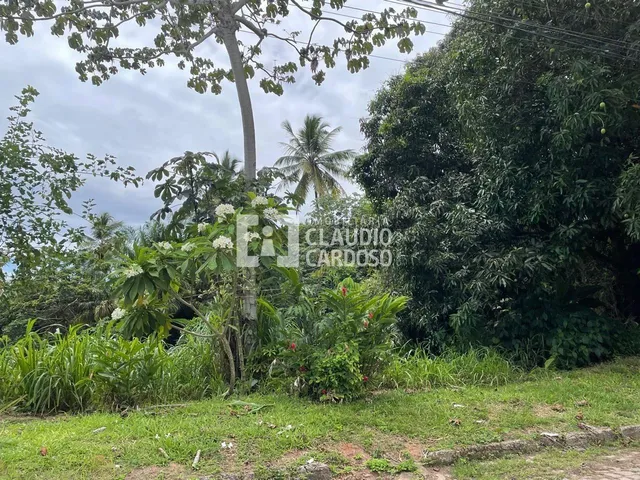 Imagem: Vendo Excelente Lote de 450 M² (15 M X