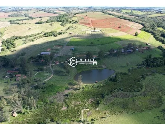 Imagem: Excelente Fazenda 124 Alqueires a Venda