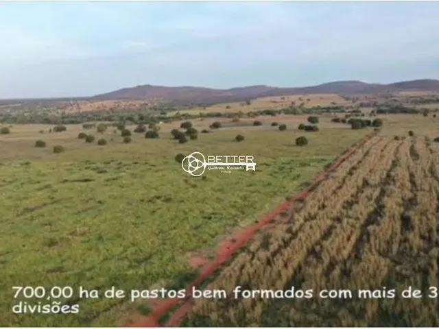 Imagem: Fazenda - 4.184 Hectares - Manga/Mg - Grande
