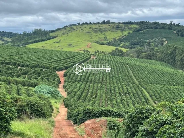 Imagem: Maravilhosa Fazenda de Café 247 Ha- Bom