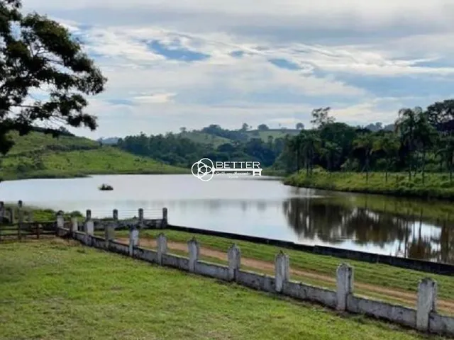 Imagem 8: Maravilhosa Fazenda de Café 247 Ha- Bom Sucesso/Mg