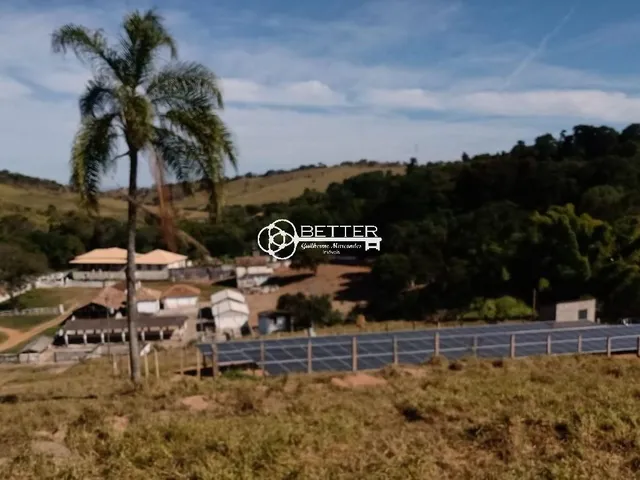 Imagem 3: Maravilhosa Fazenda de Café 247 Ha- Bom Sucesso/Mg