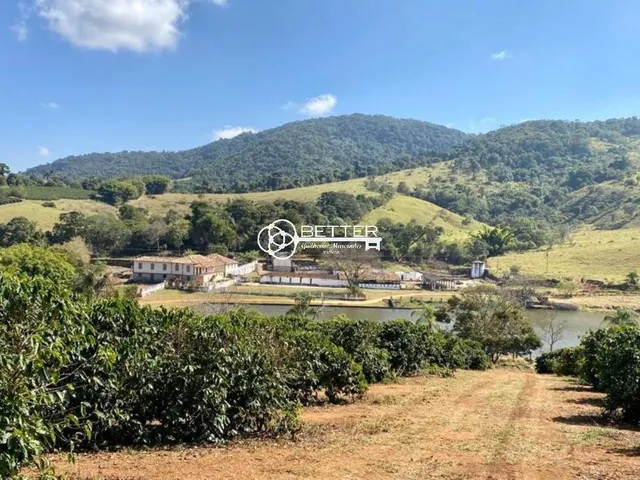Imagem 16: Maravilhosa Fazenda de Café 247 Ha- Bom Sucesso/Mg